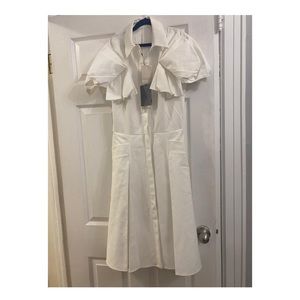 Alexander mqueen dress